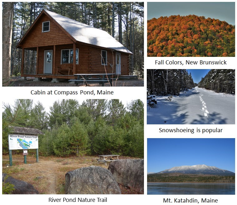 Images of cabin, trees, trails, Mount Katahdin